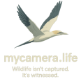 mycamera.life