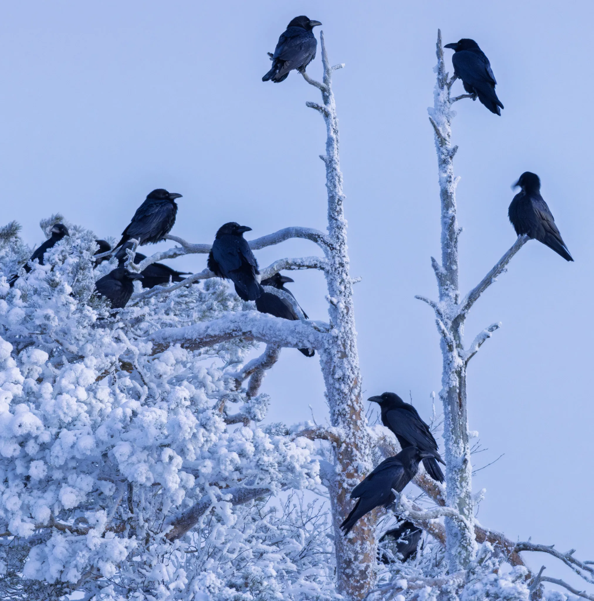 — mycamera-life-sync-album